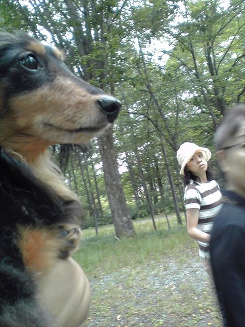 夏休みはみんな一緒。どこへ行くにもルパンも一緒。