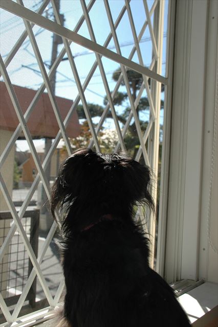 景色は変わっても思い出は色あせないね。