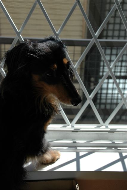 いつまでもここはルパンの場所だよ。