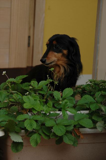 美味しい美味しい・・