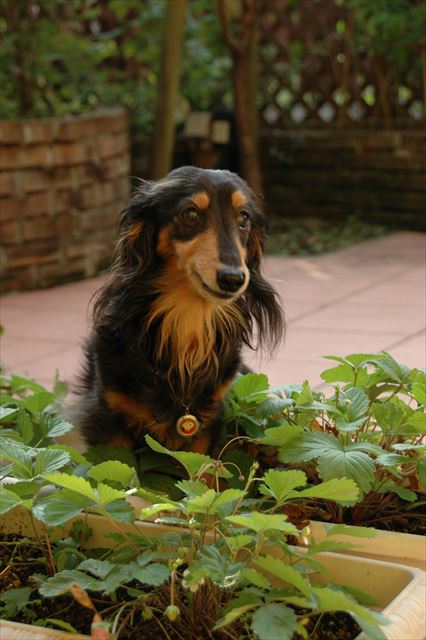 ふふ。いい顔してる。