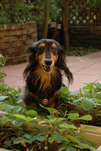 美味しいの？顔にそう書いてあるよ！