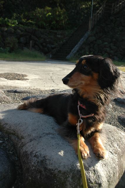 ふふ。そこあったかいのね。気持ちいいのね。