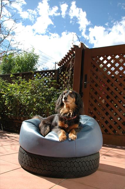 休日のひなたぼっこ。気持ちいいね。空がきれいだね。