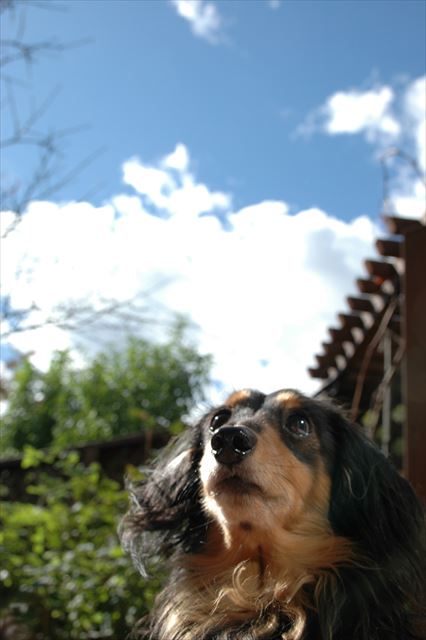 何見てるのかな。ルパンのこと何でも知りたかったよ。