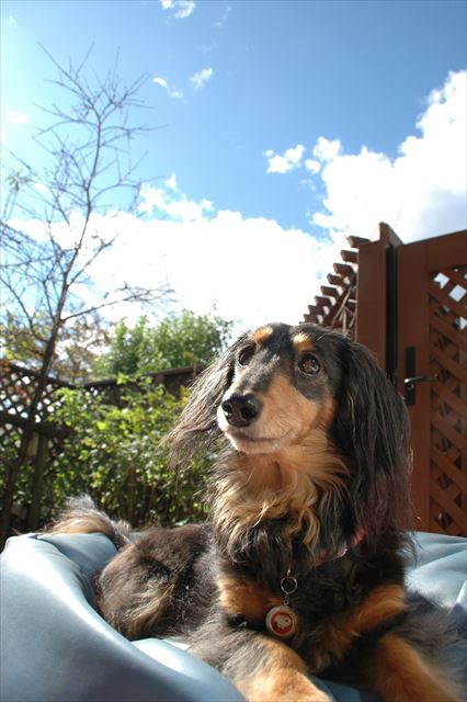 ねぇルパン、空がきれいだね・・