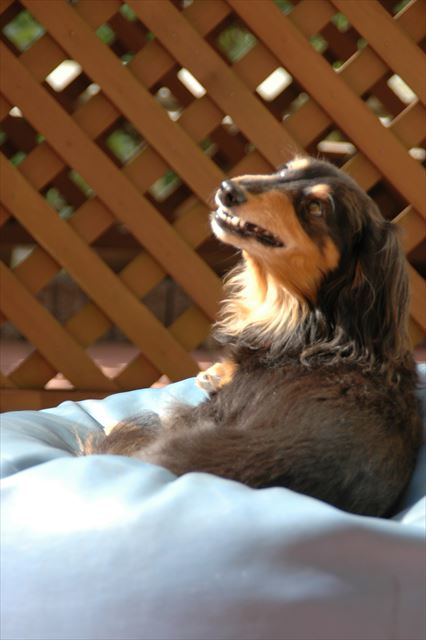 美味しい？・・奥に入って取れない？取ってあげよっか？