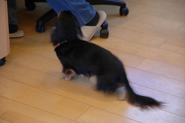 「もう１回やろうよ。引き出し開けて！」。そんなルパンがかわいくってしょうがなかった。