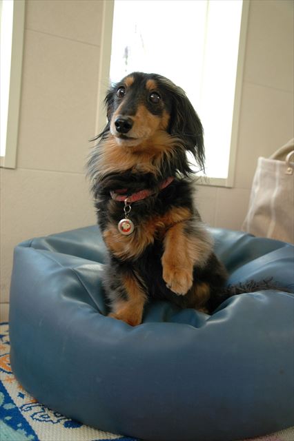 「ルパンくん！」・・はーい♪　上手だね。かわいいね。ご機嫌だね。