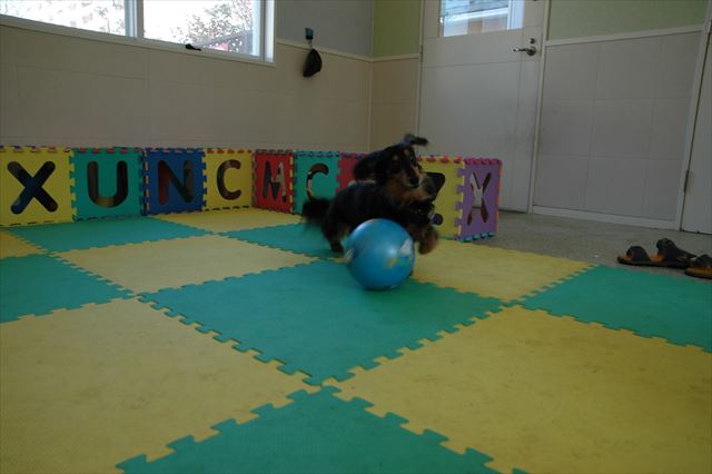 オッ！すごいすごい。上手上手♪