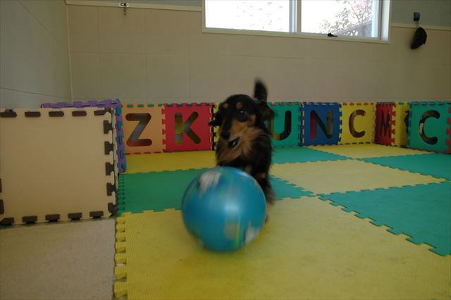 一生懸命なルパンが大好き。