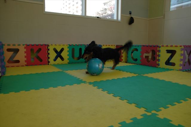 今日も元気元気！