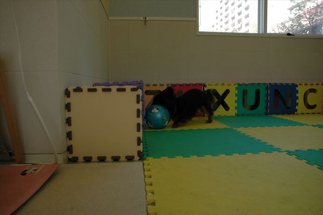 がんばれがんばれ！