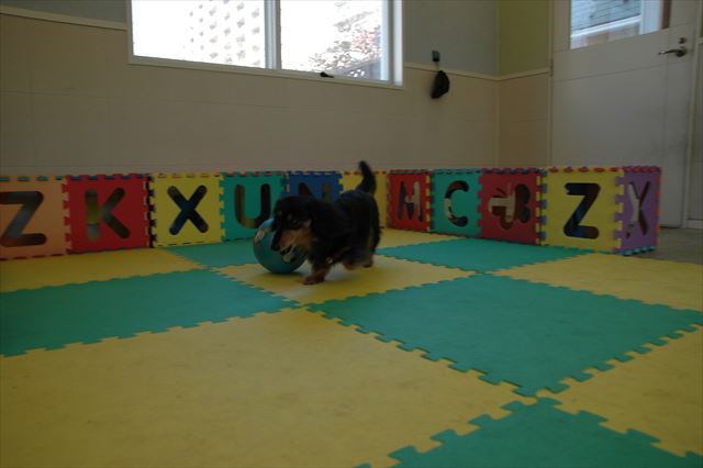 サッカー♪上手上手