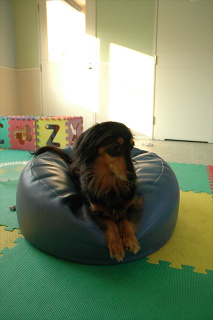 この部屋でよく遊んだね。思い出の場所だね。