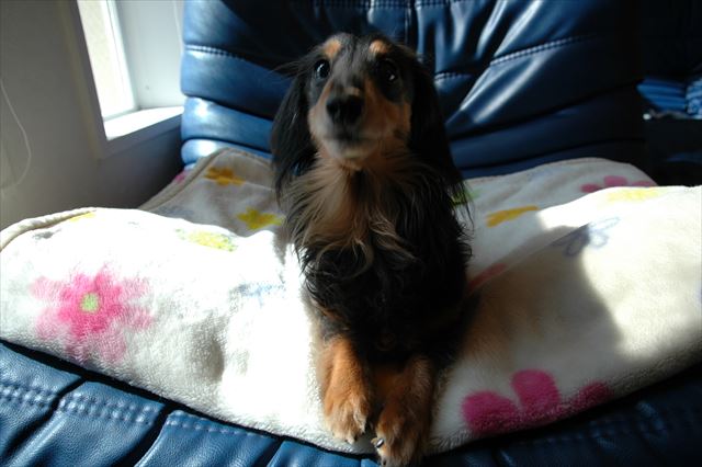 あそぼあそぼ！うん、あそぼ♪