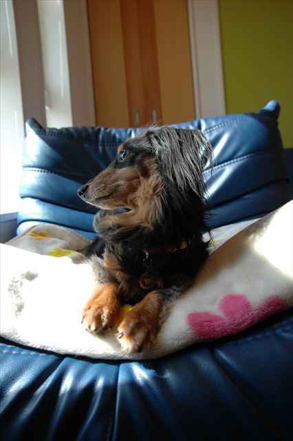 ここから外をながめるの、好きだったね。