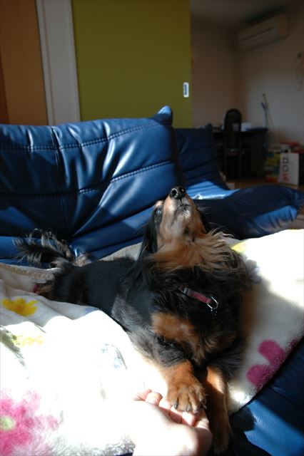 どっちに入ってる？