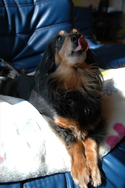 うんうん、まだ欲しいのね？