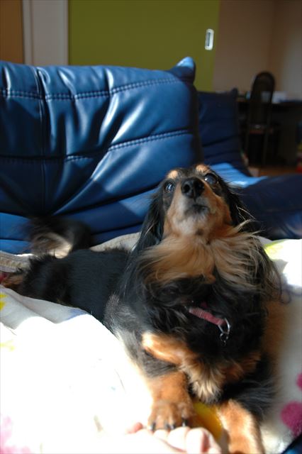 うんうん、ごほうび、ね？