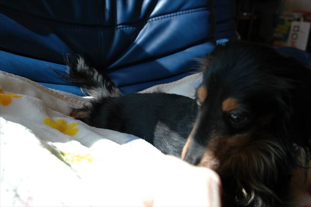 ルパンと一緒で幸せだよ・・