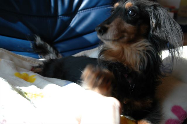 どっちに入ってる？