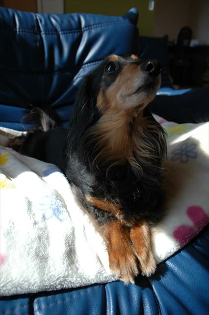 おりこうちゃん♪