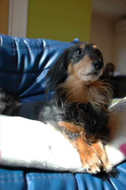 この場所が大好きだったね。ポカポカだったね。