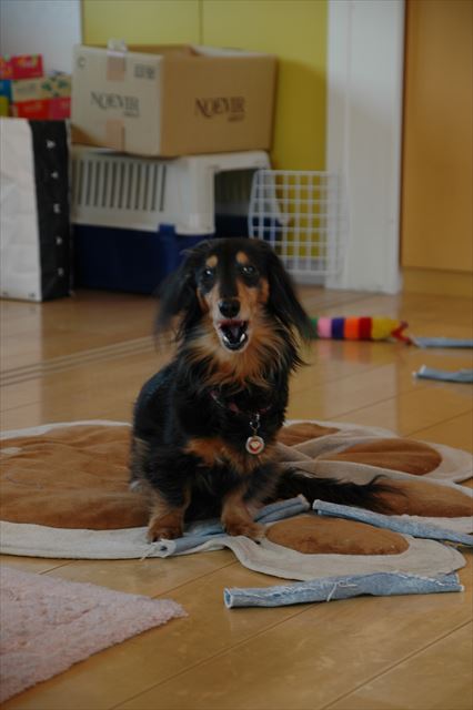 遊んだね。満足の顔？かな？