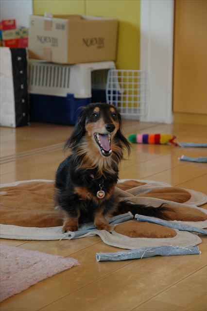 ルパン、大好きだよ。