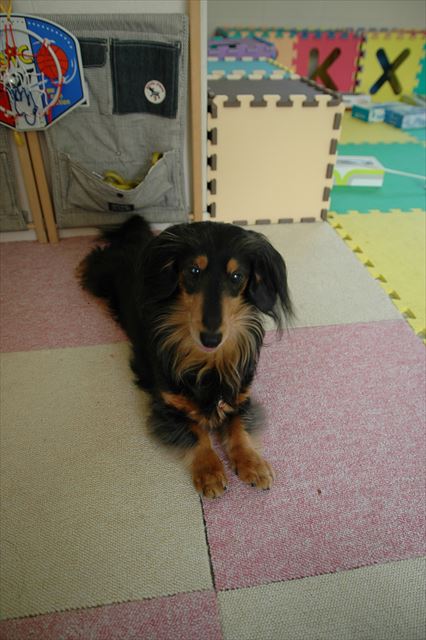 おりこうちゃんに待ってるねー