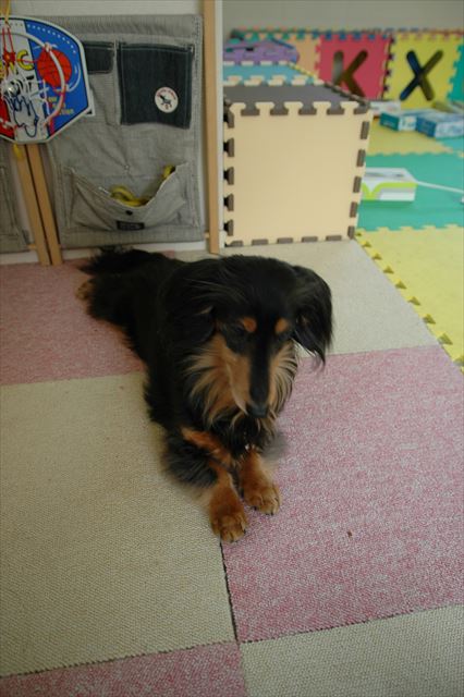 あそぼ、あそぼ！