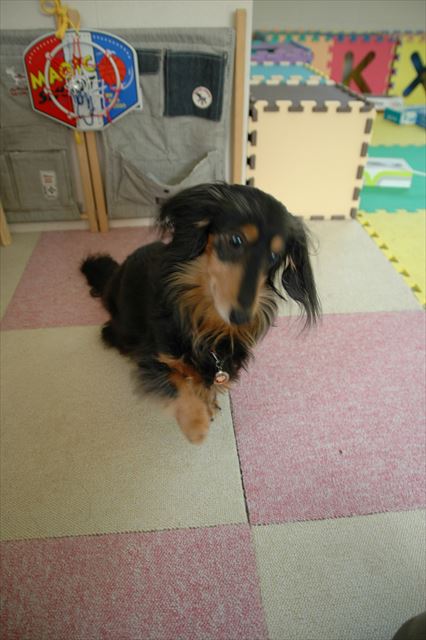 ルパンくん、はーい！