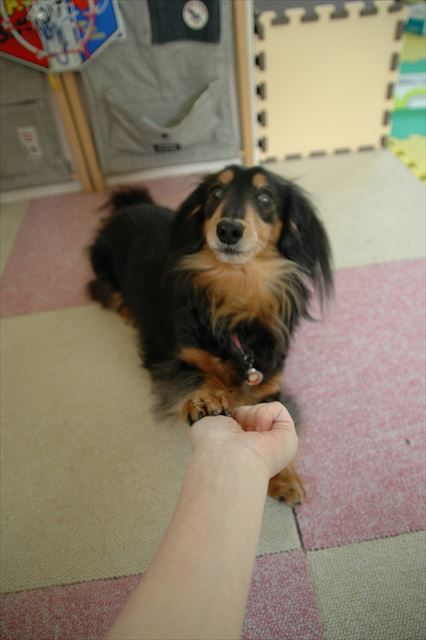 ありがとね。いつも遊んでくれてありがとね。