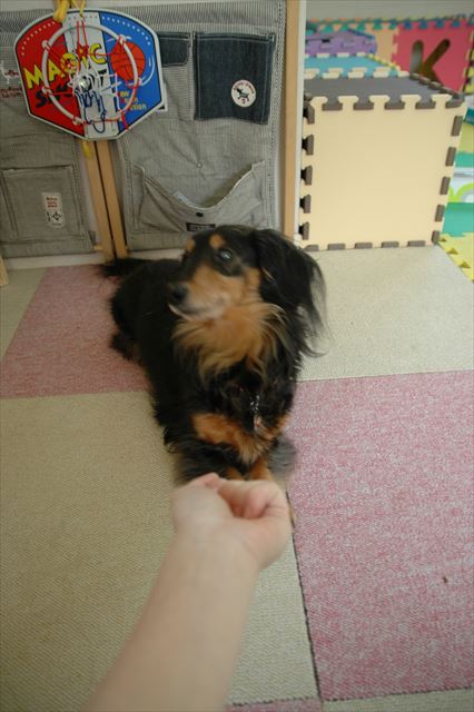 どっちに入ってる？