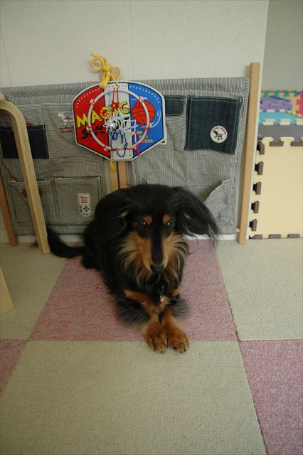 あそぼあそぼ♪