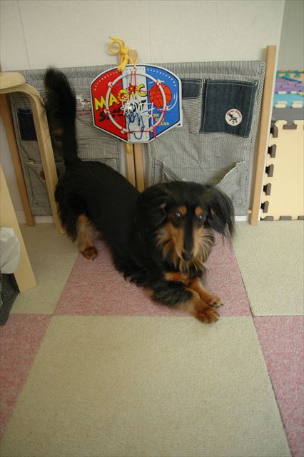 おうちの中でも「あそぼ♪」