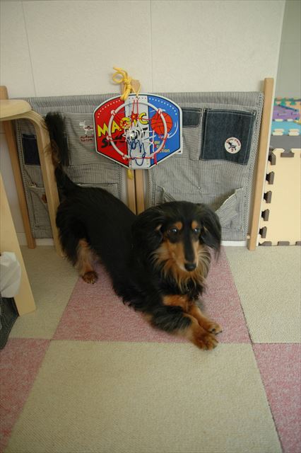 このお部屋でたくさん遊んだね。