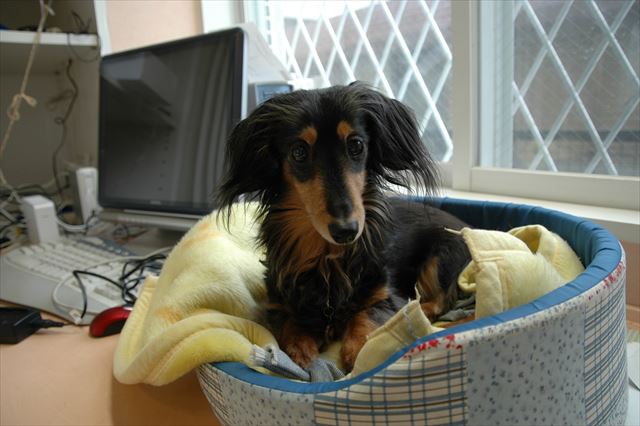 ここはふたりの大事な部屋だよね。