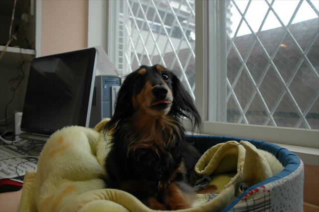 おめめ覚めた？