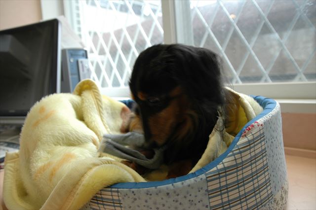 上手にほどけたかな。