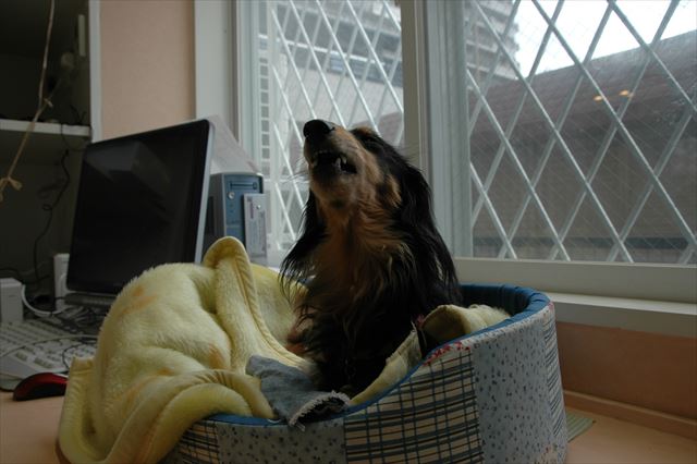 私とルパンの仕事場・・だよね！