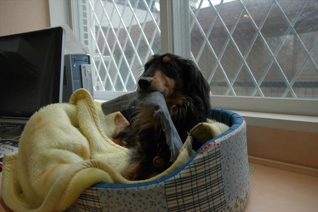 もっとちょうだい！