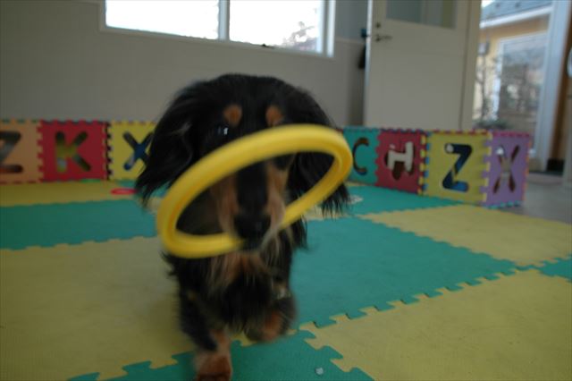 上手上手！持ってきてくれたのね。