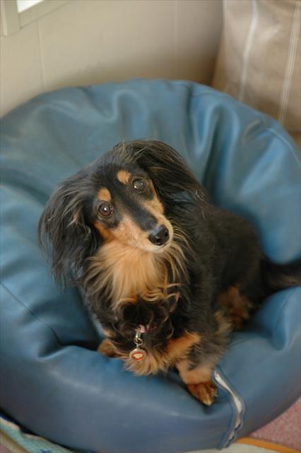 「なに？」。私を見る目はいつも真剣そのものだった・・。