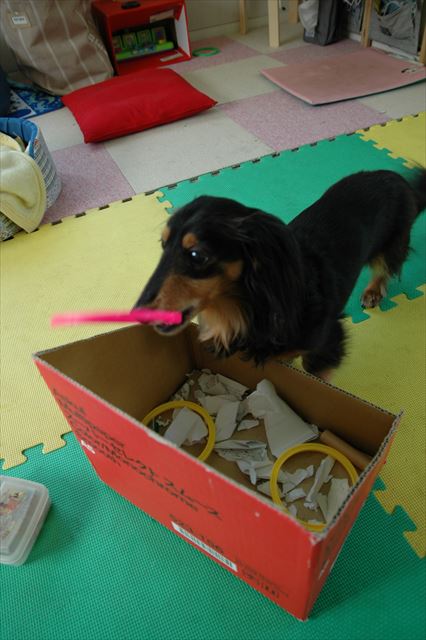 ゴミ箱ポイ。そこだよ、上手にできてるよ。