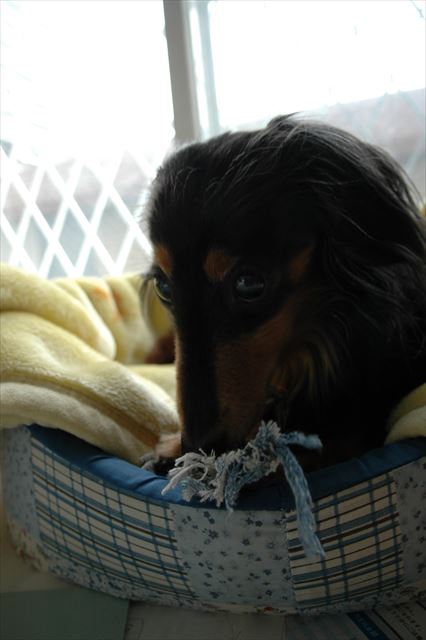 ルパンありがとね。いつも一緒にいてくれてありがとね。