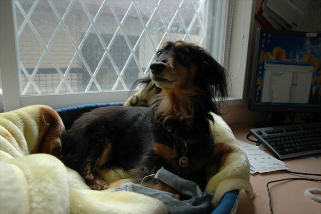 上手にほどけたね。もう１個作ってあげる。