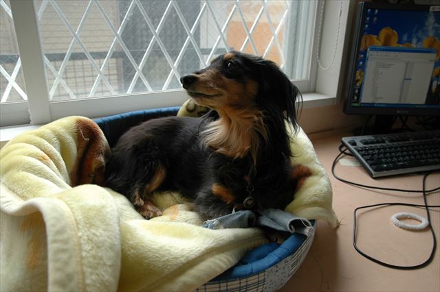 一緒に仕事できて最高に楽しかったよ、ルパン。