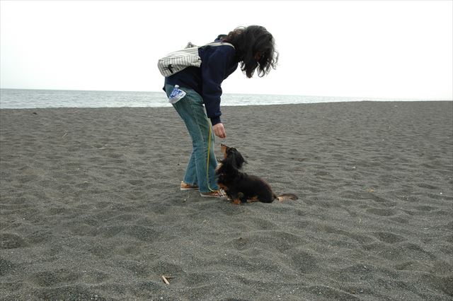 ルパンと海へ行くの大好きだった。はい、ごほうび♪